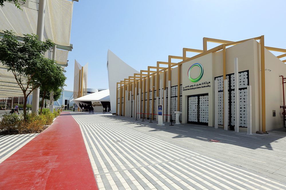 متطوعو الهيئة في إكسبو 