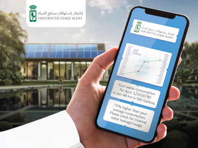 العدادات الذكية والشبكات