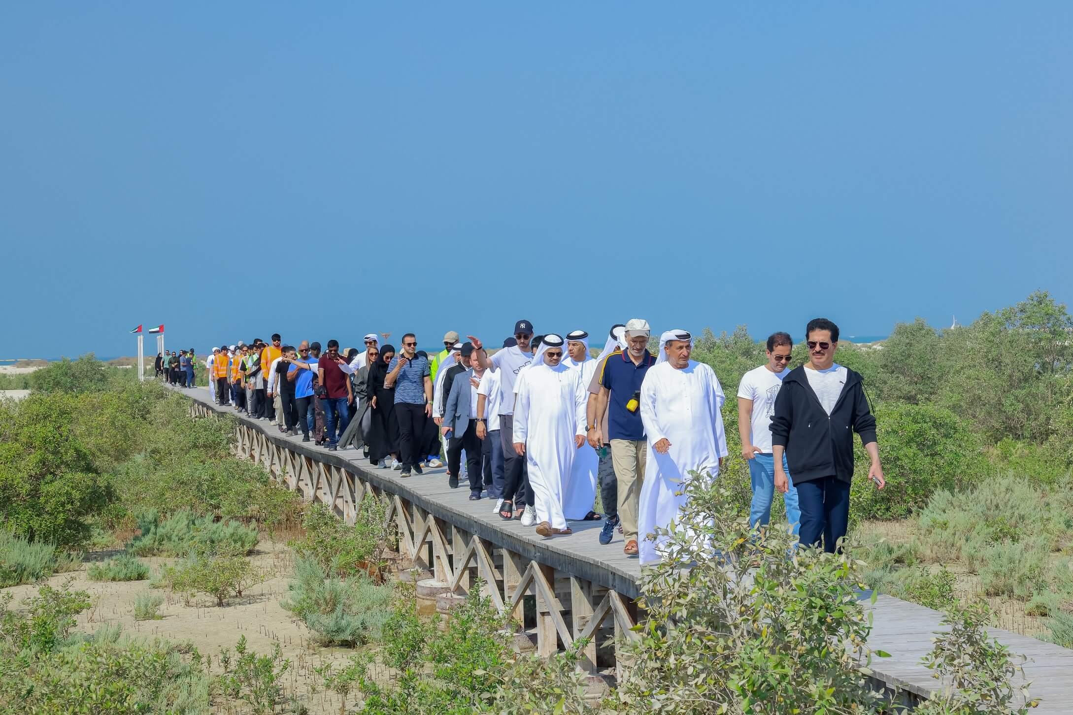 DEWA plants 13,350 mangrove trees in collaboration with Emirates Marine Environmental Group 