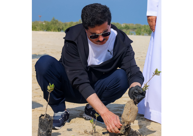 DEWA conducts activities to plant mangrove trees and clean Jebel Ali Marine Sanctuary, in collaboration with Emirates Marine Environmental Group