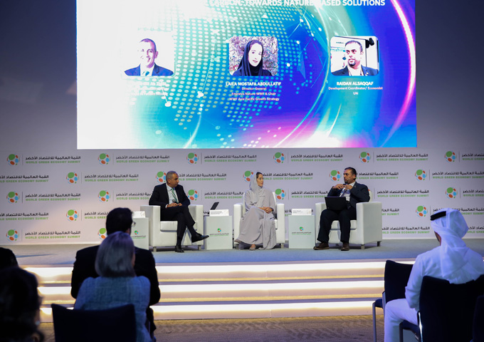 World Green Economy Summit 2024 highlights the critical role of green finance in enhancing climate resilience and advancing sustainable development